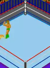 Fire Pro Wrestling 2nd Bout