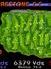 Links: Championship Course - Firestone Country Club