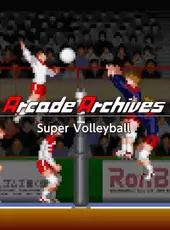 Arcade Archives: Super Volleyball