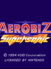 Aerobiz Supersonic