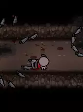 The Binding of Isaac: Afterbirth+