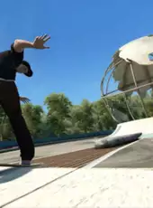 Skate 3