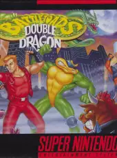 Battletoads / Double Dragon