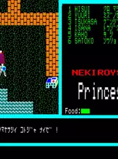 Princess Quest