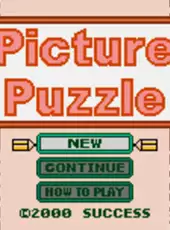 Picture Puzzle