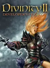 Divinity II: Developer's Cut