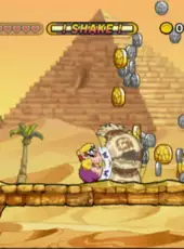 Wario Land: Shake It!