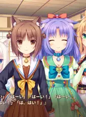 Nekopara Extra