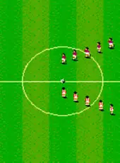 Sensible Soccer: European Champions