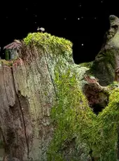 Samorost 1