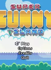 Super Sunny Island