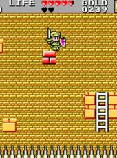 Wonder Boy in Monster Land