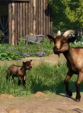 Planet Zoo: Barnyard Animal Pack