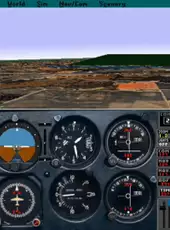 Microsoft Flight Simulator 5.1