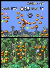 DK: Jungle Climber