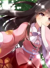 Touhou Genso Wanderer: Lotus Labyrinth R - Lotus Friends