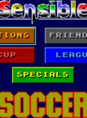 Sensible Soccer: European Champions