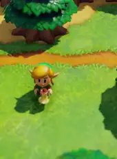 The Legend of Zelda: Link's Awakening