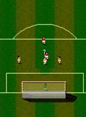 Sensible Soccer: European Champions