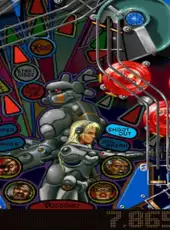 Pinball Illusions