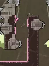 Super Meat Boy Forever