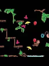 Donkey Kong Jr.