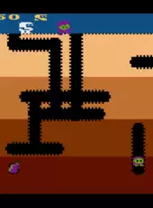 Dig Dug