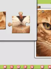 1001 Jigsaw: Cute Cats 3