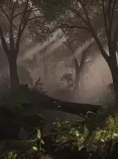 Rising Storm 2: Vietnam