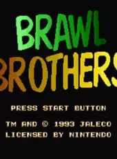 Brawl Brothers