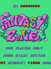 Fantasy Zone