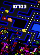 Pac-Man 256