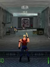 Duke Nukem Collection 2