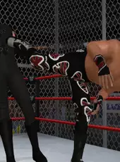 WWE '13