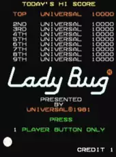 Lady Bug