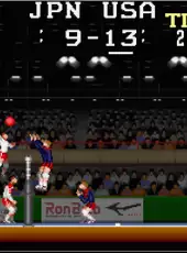 Arcade Archives: Super Volleyball