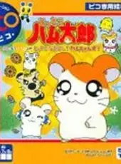 Tottoko Hamtaro: Haru Natsu Aki Fuyu Tottoko Nakayoshi! Ham-chans!